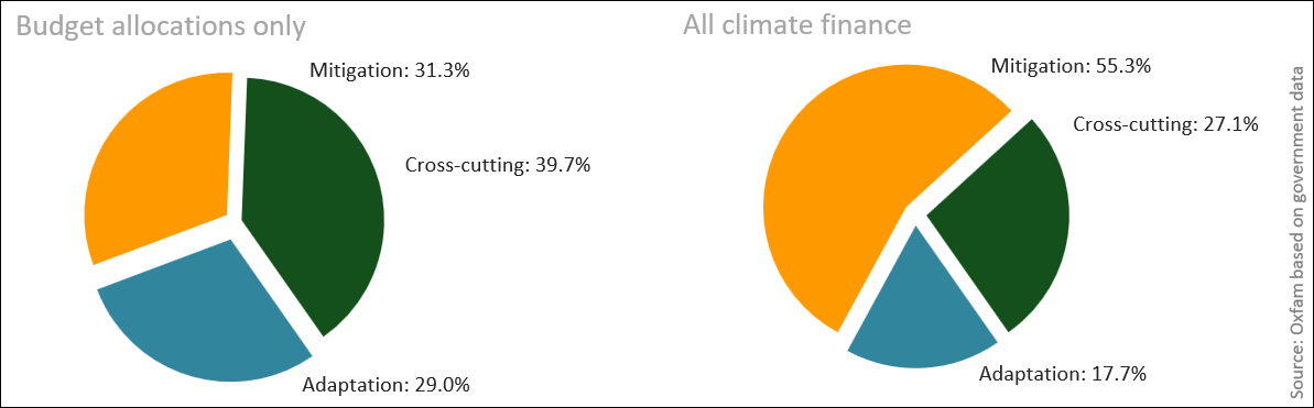 Fig. 5: Climate finance 2025 by thematic focus